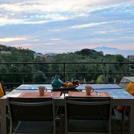 Suites In Erbalunga 厄尔巴隆加 外观 照片